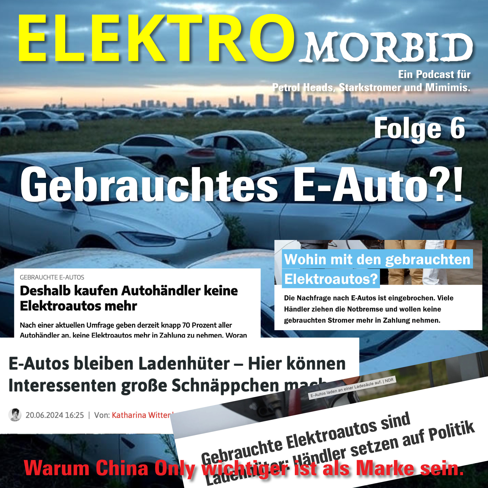 Ein gebrauchtes E-Auto? Eine echte Erfahrung.