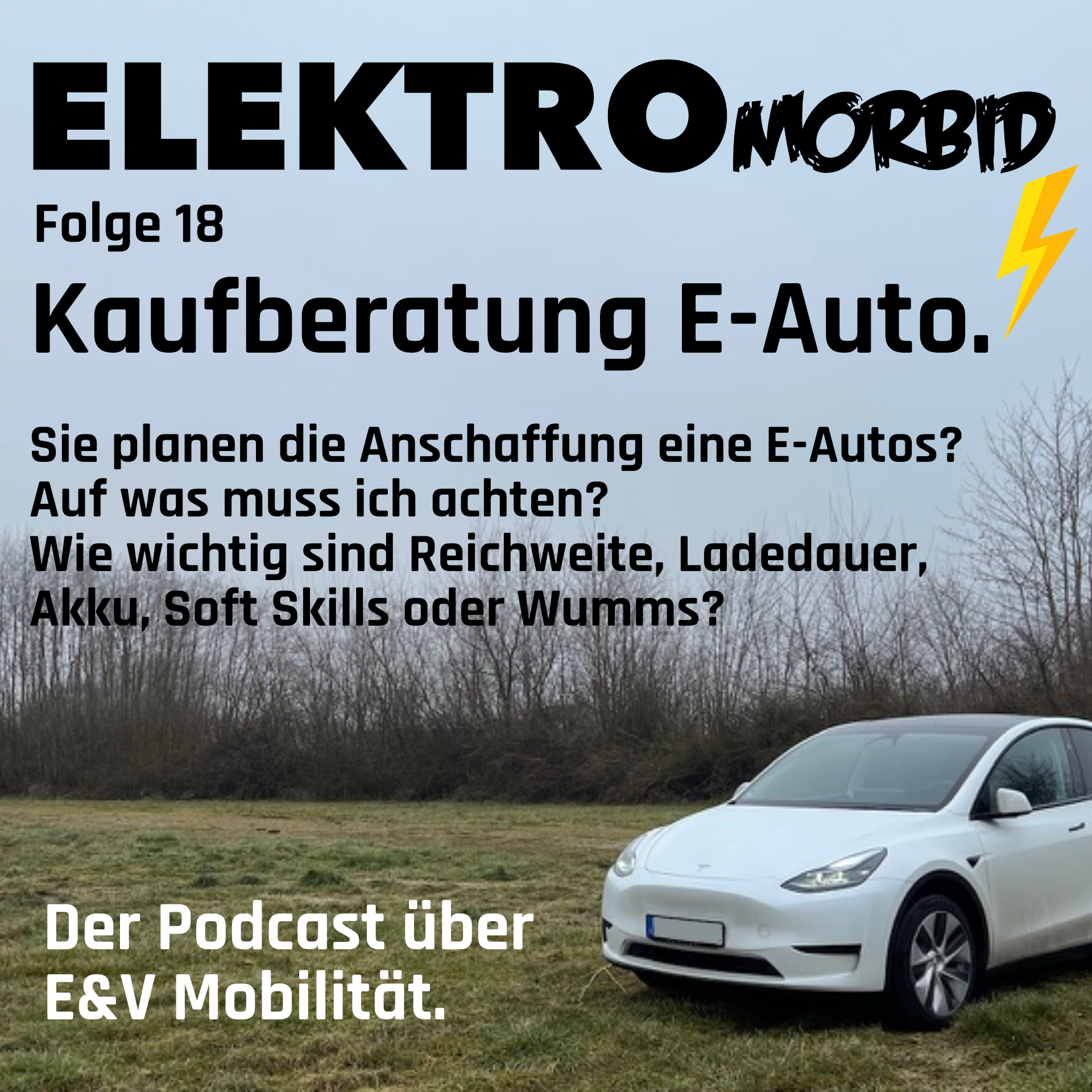 Folge 18 – Kaufberatung E-Auto